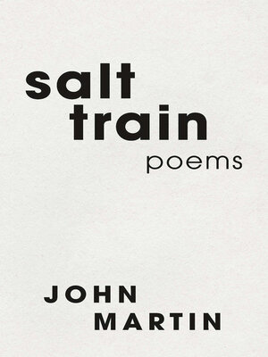 cover image of salt train